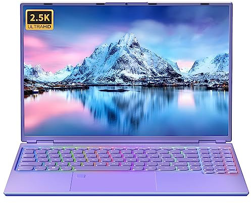 Fsjun 16 Purple Laptop 2025, 16GB RAM 1TB SSD, N95 CPU(up to 3.4GHz), 2.5K QHD IPS (2560x1600), Color Backlit KB, Face Unlock, Type-C, Mini-HDMI, WiFi, Notebook for Business Study Travel Work