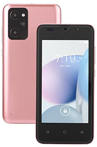 Smartphone Doppio Sbloccato da 4,66 Pollici, RAM 512 MB ROM 4 GB, Fotocamera da 2 MP 5 MP, Telefono Cellulare Sbloccato con Batteria da 2200 MAh(Oro rosa)