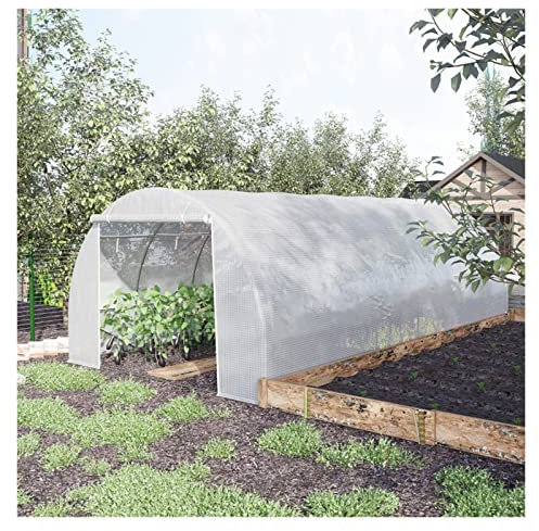 Tomaten Tomatenhaus Groß Gewächshaus Großes Gewächshaus für draußen mit hochbelastbarem Stahlrahmen, Winter Garten Polytunnel-Gewächshäuser Tomatenpflanzen Gewächshaus Warmhaus ( Size : W100 x H100 x