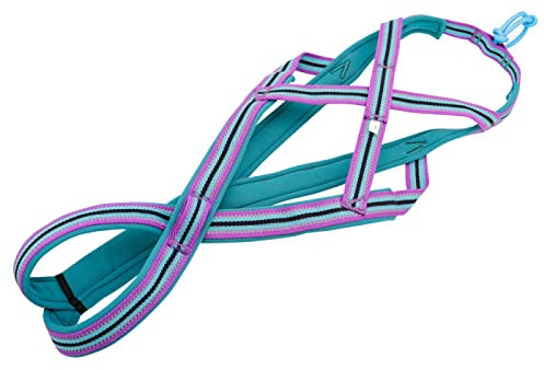 Outdoor-Hundetraining, Arbeit, Sport, Schlitten- Und Skigeschirr, Verstellbares, Langlebiges Nylon-Hundegeschirr, Winter-Hundeschlittengeschirr, Hunde-Zuggeschirr,Blau,L