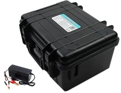 Batterie Lithium-Fer-Phosphate 12 V 30 Ah, 50 Ah, 100 Ah, 120 Ah, 150 Ah, Version Bluetooth, Compatible avec Une Alimentation Portable 12,8 V(120Ah -10A Charger)