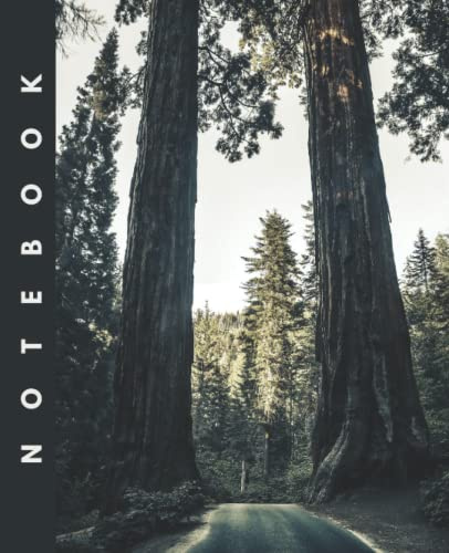 Notebook: Giant Sequoia Tree Notebook | College Ruled All Purpose Notebook | Stylish Workbook for Girls Kids Teens Students and Teachers for Back to ... Notes 7.5 x 9.25 Size, 120 Lined Pages