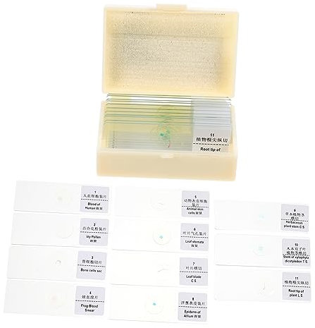 iplusmile 1ensemble Lames De Microscope Préparées Pour Bioexpériences De Échantillons De Cellules Vivantes Et Plantes Fournitures De Laboratoire Éducatif