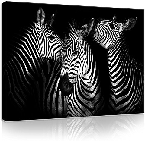 Forwall- Leinwand Bilder - Zebras - 100x75 cm Leinwandbilder - Bild auf leinwand - Wandbild XXL groß Wandbilder für Wohnzimmer Schlafzimmer Wohnzimmerbilder Modern kunstdruck - Natur