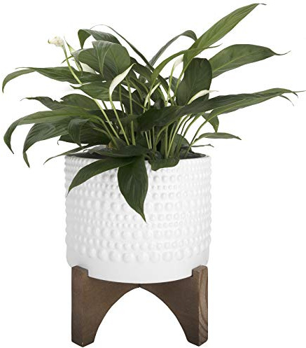 LA Jolie Muse Ceramic Planter with Wood Stand - 8 Inch White Cylinder Embossed Hobnail Patterned Flower Plant Pot Indoor
