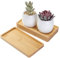 TsunNee 3 bandejas de bambú, platillo rectangular, soporte para macetas de plantas suculentas, bandeja de madera para servir, posavasos, soporte para papel