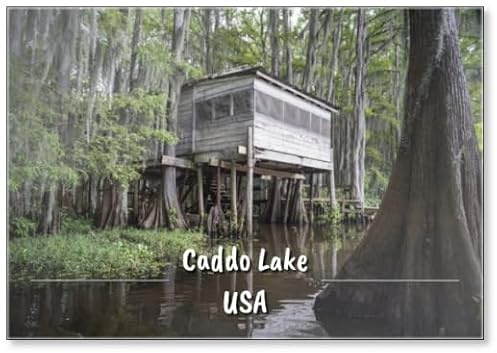 Magnete da frigorifero con scena di Swamp Bayou del sud americano con vecchia baracca di legno incorporata in cipressi calvi e muschio spagnolo a Caddo Lake Texas, magnete da frigorifero