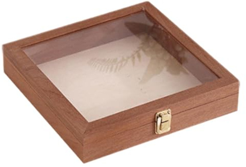 Sammlervitrine Aufbewahrungsbox Dekorative Mehrzweck Holz-Schmuckbox mit