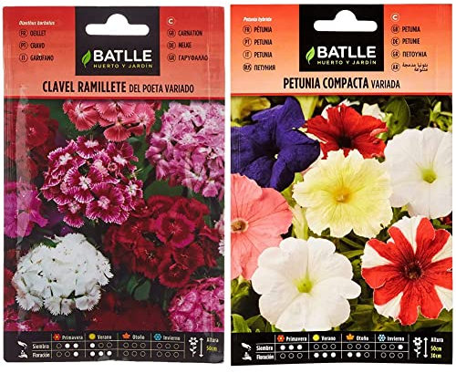 Semillas Batlle - Clavel RAMILLETE del Poeta Vdo. & Petunia Compacta VARIADA, Multicolor