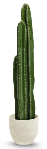 MAIA SHOP Cactus Artificial 100 cm – Planta Decorativa Realista de Altura Media para Hogar, Oficina, Hoteles y Proyectos de Interiorismo