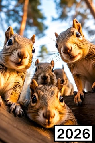 2026: A6 Terminplaner & Buchkalender , Kompakter Jahresplaner mit 1 Woche auf 2 Seiten | Das kleine Kalenderbuch für große Pläne und einen klaren Kopf