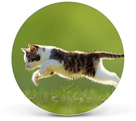 banjado Magnettafel Ø 47cm Weiß - Magnetwand aus Metall - Magnetpinnwand als Memoboard - Pinnwand Magnettafel Küche, Büro, Kinderzimmer inkl. 4 Magnete & Montageset - Jagende Katze