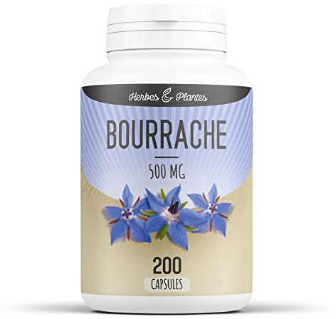 Herbes Et Plantes Bourrache 200 Capsules 500 mg