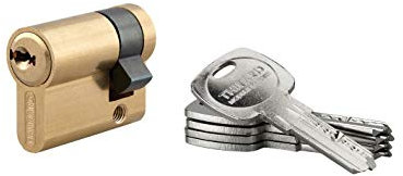 THIRARD - Cylindre de Serrure à Bouton Federal S - Nickel - Pour Porte D'entrée - 6 Goupilles - Anti-Arrachement, Anti-Perçage, Anti-Crochetage - 30 x 30 mm - Argent