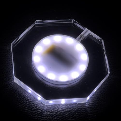 sous-Verre LED - sous-Verres Lumineux Rechargeables, 3 Modes d'éclairage pour bière, Cocktail et vin - Idéal pour Les fêtes, Mariages, Bars et discothèques (Blanc, L'octogone)