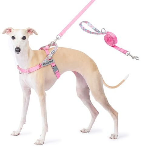 Wuffley hundsele och ledset, ingen dragsele för hundar, anti-dragsele med handtag och 2 reflexmärken, lättviktig hundsele för utomhusträning, promenader och löpning (Rosa, L)