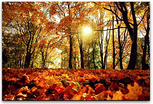 bestforhome 120x80cm Leinwandbild Herbst Wald mit bunten Blättern Leinwand auf Holzrahmen