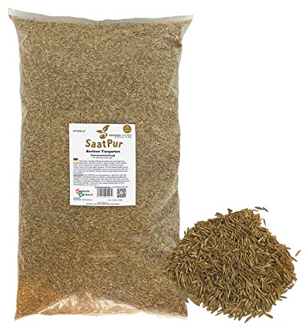 SaatPur® Rasensamen Berliner Tiergarten 2,5kg für ca. 100 m², Mehrjährige Zierrasen Rasenmischung aus mehreren Rasenarten, meistens 4 bis 5, satt grün, Schmuckrasen für Neusaat + Nachsaat