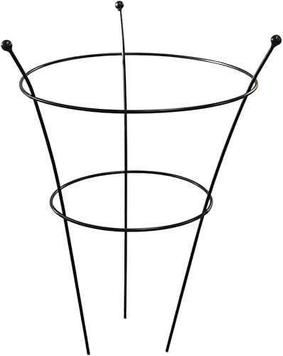 Medium Peony Frame Outdoor Heavy Duty Herbaceous Garden Plant Support Ring for Perennial Flowers Border Cage 63cm x 34cm (1 x Peony Frame)