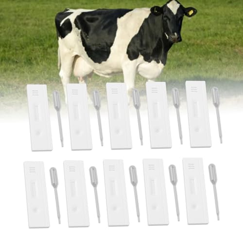 Bandelettes De Test De Grossesse De Vache, 10 Ensembles De Grossesse De Vache De Haute Précision Détection Rapide Opération Simple Outil De Diagnostic De Grossesse Précoce De Vache