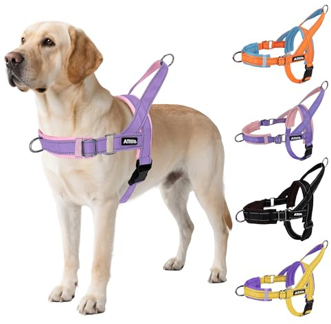 AIITLE Anti-Zug-Hundegeschirr verstellbar gepolstert, Lila-Rosa S | Reflektorstreifen, Schnellverschluss, verstellbar, für Welpen & alle Hunde, Training, Spazieren, Laufen, sicher