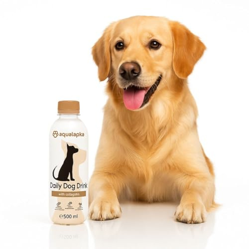 ANIMALUJOS - Pack 8 Botellas Aqualapka para Perros con Vitaminas o Colágeno 500ml – Bebida Hidratante Natural + Regalo Bolsa de Chuches 50g (8 Botellas, Colágeno + Regalo)