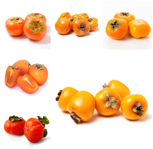 kakibaum winterhart kaufen samen - kaki - zimmerpflanzen, samen topf pflanze kaki baum pflanze samen, obst samen, gartendeko für draußen baumsamen, pflanzen für sonnige plätze 5pcs