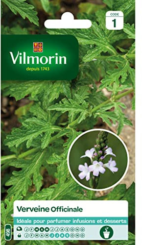 Vilmorin 5815141