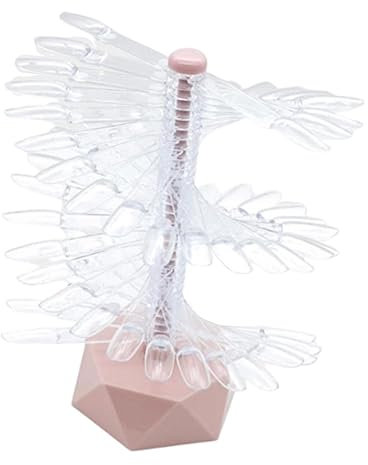Perfeclan Présentoir de vernis à ongles, outil de pratique des ongles, présentoir en spirale, affichage du nuancier de nail art, support pour salon, outil, ROSE