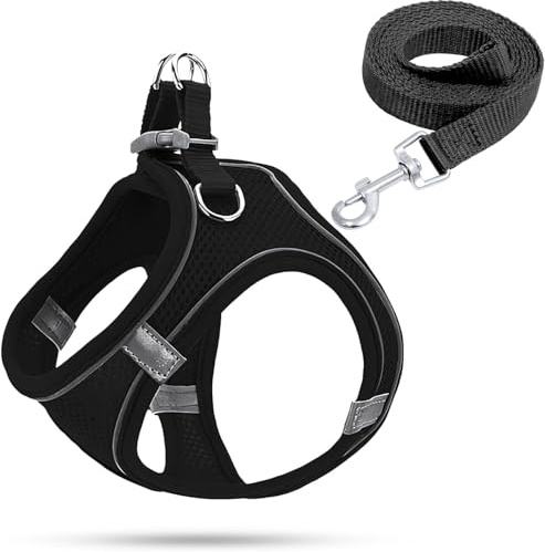 Hundegeschirr Kleine Hunde,Welpengeschirr Katzengeschirr Hunde Geschirr Leuchtend mit Leine,Curli Hundegeschirr Geschirr Hund Welpen Zubehör(Schwarz,XXS)