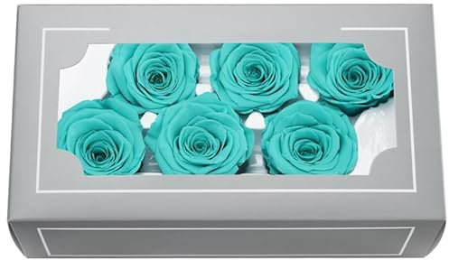 FORTTS Rosa conservata di grado A, 5-6 cm, eterna naturale di alta qualità, 6 pezzi/scatola, rosa eterna per la mamma, San Valentino, regali di compleanno, matrimoni, casa, feste, decorazioni fai da