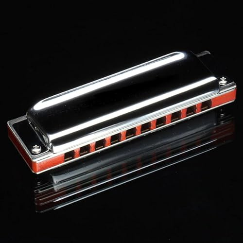 Mundharmonika Diatonische Mundharmonika 10 Löcher Blues Harp Master Key von C Professionelle Musikinstrumente(G)