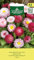 AGRONOM | Graines de pâquerette | Graines de fleurs | Graines de plantes | Fleurs vivaces, 10 cm de hauteur | Les fleurs ont un diamètre de 3 à 4 cm | Graines de jardin | 1 paquet