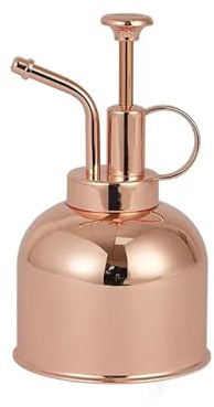 Watering Can Spout 304 Stainless Steel Flower Watering Can Retro Golden Small Mini Manual Succulent Flower Atomizer Sprayer Sprinkler Bar (B, 15x8. 9x8. 4cm)