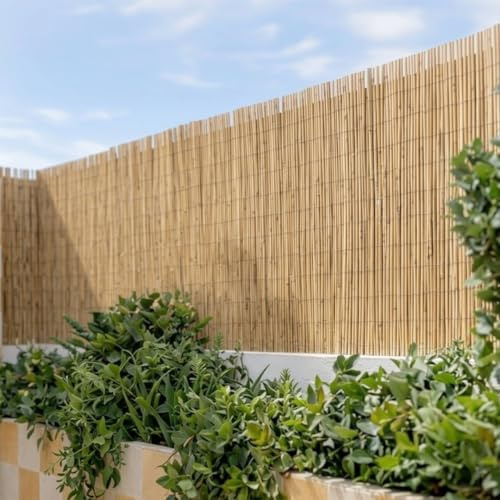 Nortene | Cañizo Jardin Ocultacion Entero Varilla Media 1 | 5x5 M | Duradero Y Resistente | Protección UV