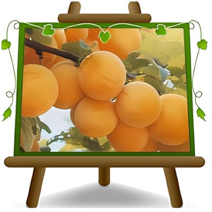 EURO PLANTS VIVAI Prunier Sorriso di Primavera sourire de printemps plante fruitière ancienne en pot 20 cm hauteur 150~170 cm - Âge 2 ans