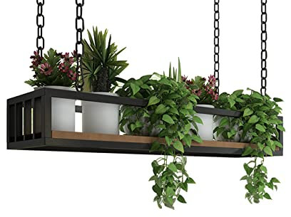 Jardinière Suspendue au Plafond, présentoir de Pot de Fleur, Support de Plante Suspendu, Pots de Plantes d'intérieur, Cintre pour Plantes murales/fenêtres, Jardin d'herbes aromatiques d'inté