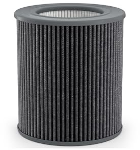 Molekule PECO-Filter for Air Mini and Air Mini+ Air Purifiers - Replacement Filter, Destroys Viruses, VOCs, Allergens, Bacteria, Mould, Smoke - Advanced Nanotechnology, 6-Month Replacement