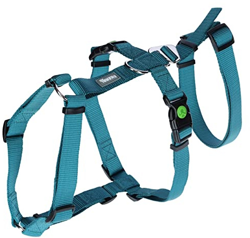 Kerbl Pet Panikgeschirr, Hundegeschirr, petrol, Halsulmfang 48-64cm, Gurtbreite 25mm, für ängstliche Hunde, robust, verstellbar