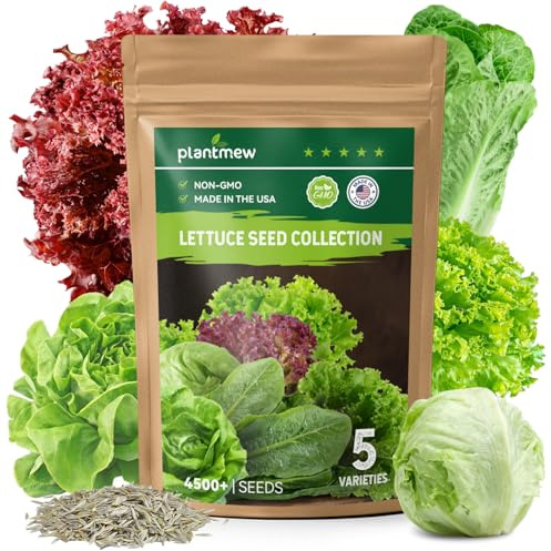 PLANTMEW Heirloom Lettuce Seeds - 5 Varieties, Non-GMO Seeds for Planting - Black Seeded Simpson, Iceberg, Buttercrunch, Parris Island Cos & Lolla Rossa Lettuce - Home Garden & Hydroponic Seeds