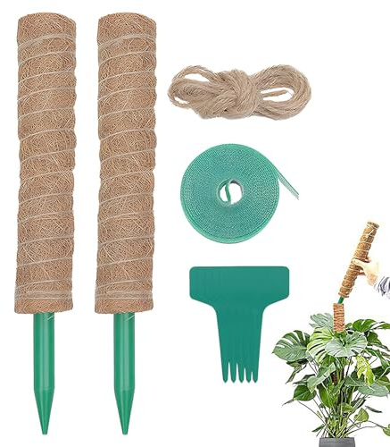 Generico Supporto Monstera | Paletti di Muschio da Giardinaggio a Crescita Verticale,per Fiori in Vaso - per Giardino Interno Balcone Cortile Pomodori Vite Clematide E Fiori