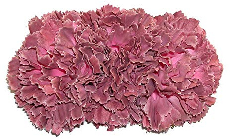 Desconocido FLOR FLAMENCA TIARA PEQUEÑA (MAQUILLAJE) BLANCO METAL CRISTAL DIADema MUJERES NIÑAS