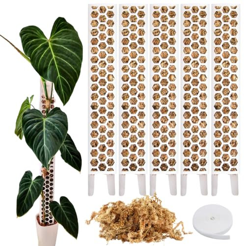 PlantScraper Moosstab für Monstera – Rankhilfe & Zubehör-Set für Zimmerpflanzen – 5 x Pflanzstäbe mit Pflanzen-Klettband & Moos – Optimiert für Aroiden – Befestigung für Kletterpflanzen – 35 x 6 cm