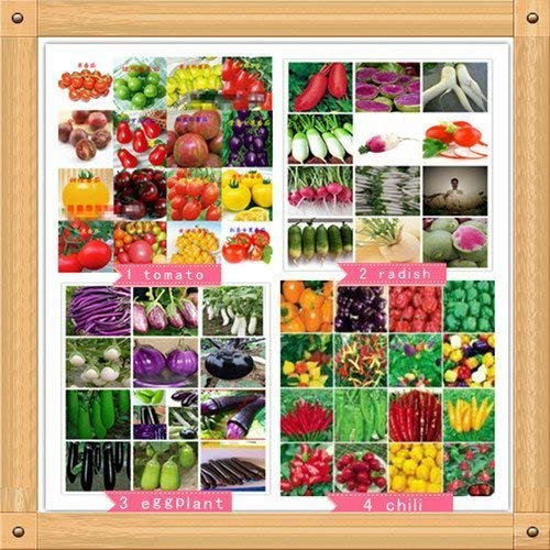 Seeds 100Pcs/Lot Green Leaf Mustard Seed, Brassica Juncea, Vegetable Seeds: Only Seeds