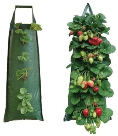QWWQYDY Saco para Plantas Colgantes Nuevas Bolsas de Cultivo multipuerto for Plantas, macetas Colgantes de Patatas y Fresas, Bolsa for Frutas y Verduras, Suministros de jardín, Maceta(8 Ports)