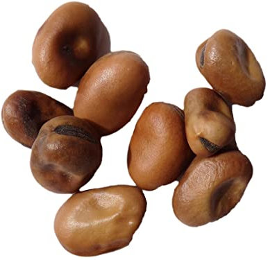 Féverole Bio Féverole - 40 grammes - Vicia Faba L. (Engrais Vert) SEM06