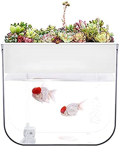 OUTS Mini-Acryl-Aquaponik-Ökosystem, Hydroponik-Gemüseblume, Pflanze, Aquarium, Kreative Mini-Öko-Aquarium-Dekoration, 31 * 19,5 * 28 cm,Pleasant63