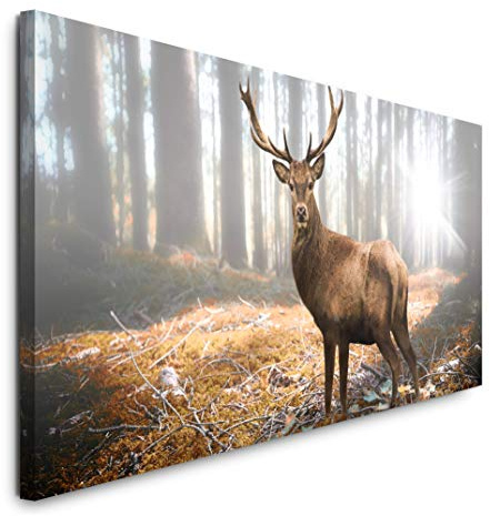 Paul Sinus Art GmbH Rehbock im Wald 120x 50cm Panorama Leinwand Bild XXL Format Wandbilder Wohnzimmer Wohnung Deko Kunstdrucke
