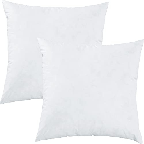 Erwin Müller Kissenfüllung Turku 2er-Pack 85% Federn, 15% Daunen weiß Größe 40x40 cm
