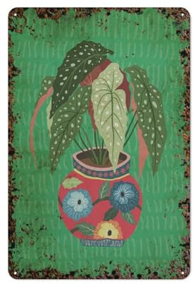 Beautiful Begonia Maculata House Plant Plant Lover Novelty Retro Metal Tin Sign, Funny Wall Decor Garage Bar Courtyard Living room 8x12 Inch